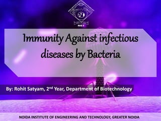 Immunity Against infectious
diseases by Bacteria
NOIDA INSTITUTE OF ENGINEERING AND TECHNOLOGY, GREATER NOIDA
By: Rohit Satyam, 2nd Year, Department of Biotechnology
 