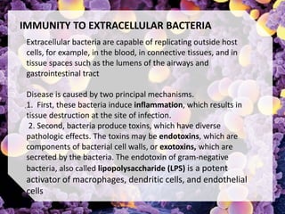 .
IMMUNITY TO EXTRACELLULAR BACTERIA
Extracellular bacteria are capable of replicating outside host
cells, for example, in the blood, in connective tissues, and in
tissue spaces such as the lumens of the airways and
gastrointestinal tract
Disease is caused by two principal mechanisms.
1. First, these bacteria induce inflammation, which results in
tissue destruction at the site of infection.
2. Second, bacteria produce toxins, which have diverse
pathologic effects. The toxins may be endotoxins, which are
components of bacterial cell walls, or exotoxins, which are
secreted by the bacteria. The endotoxin of gram-negative
bacteria, also called lipopolysaccharide (LPS) is a potent
activator of macrophages, dendritic cells, and endothelial
cells
 