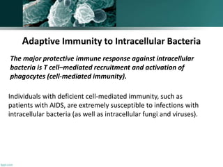 Adaptive Immunity to Intracellular Bacteria
The major protective immune response against intracellular
bacteria is T cell–mediated recruitment and activation of
phagocytes (cell-mediated immunity).
Individuals with deficient cell-mediated immunity, such as
patients with AIDS, are extremely susceptible to infections with
intracellular bacteria (as well as intracellular fungi and viruses).
 