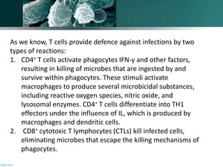 As we know, T cells provide defence against infections by two
types of reactions:
1. CD4+ T cells activate phagocytes IFN-γ and other factors,
resulting in killing of microbes that are ingested by and
survive within phagocytes. These stimuli activate
macrophages to produce several microbicidal substances,
including reactive oxygen species, nitric oxide, and
lysosomal enzymes. CD4+ T cells differentiate into TH1
effectors under the influence of IL, which is produced by
macrophages and dendritic cells.
2. CD8+ cytotoxic T lymphocytes (CTLs) kill infected cells,
eliminating microbes that escape the killing mechanisms of
phagocytes.
 