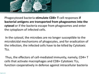Phagocytosed bacteria stimulate CD8+ T cell responses if
bacterial antigens are transported from phagosomes into the
cytosol or if the bacteria escape from phagosomes and enter
the cytoplasm of infected cells.
In the cytosol, the microbes are no longer susceptible to the
microbicidal mechanisms of phagocytes, and for eradication of
the infection, the infected cells have to be killed by Cytotoxic
TLs.
Thus, the effectors of cell-mediated immunity, namely, CD4+ T
cells that activate macrophages and CD8+ Cytotoxic TLs,
function cooperatively in defense against intracellular bacteria
 