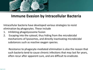 Immune Evasion by Intracellular Bacteria
Intracellular bacteria have developed various strategies to resist
elimination by phagocytes. These include
1. Inhibiting phagolysosome fusion
2. Escaping into the cytosol, thus hiding from the microbicidal
mechanisms of lysosomes, and directly inactivating microbicidal
substances such as reactive oxygen species.
Resistance to phagocyte-mediated elimination is also the reason that
such bacteria tend to cause chronic infections that may last for years,
often recur after apparent cure, and are difficult to eradicate.
 