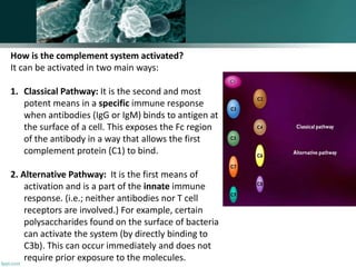 How is the complement system activated?
It can be activated in two main ways:
1. Classical Pathway: It is the second and most
potent means in a specific immune response
when antibodies (IgG or IgM) binds to antigen at
the surface of a cell. This exposes the Fc region
of the antibody in a way that allows the first
complement protein (C1) to bind.
2. Alternative Pathway: It is the first means of
activation and is a part of the innate immune
response. (i.e.; neither antibodies nor T cell
receptors are involved.) For example, certain
polysaccharides found on the surface of bacteria
can activate the system (by directly binding to
C3b). This can occur immediately and does not
require prior exposure to the molecules.
 