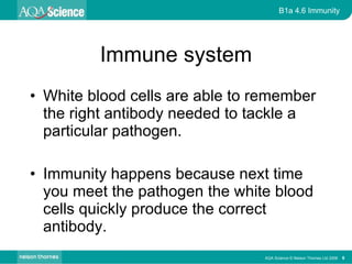 Immune system White blood cells are able to remember the right antibody needed to tackle a particular pathogen. Immunity happens because next time you meet the pathogen the white blood cells quickly produce the correct antibody. AQA Science © Nelson Thornes Ltd 2006   