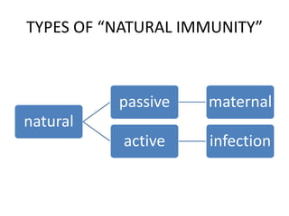 TYPES OF “NATURAL IMMUNITY”
natural
passive maternal
active infection
 