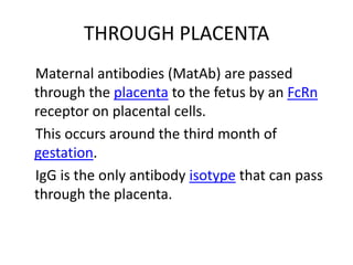 THROUGH PLACENTA
Maternal antibodies (MatAb) are passed
through the placenta to the fetus by an FcRn
receptor on placental cells.
This occurs around the third month of
gestation.
IgG is the only antibody isotype that can pass
through the placenta.
 