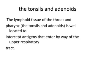 the tonsils and adenoids
The lymphoid tissue of the throat and
pharynx (the tonsils and adenoids) is well
located to
intercept antigens that enter by way of the
upper respiratory
tract.
 