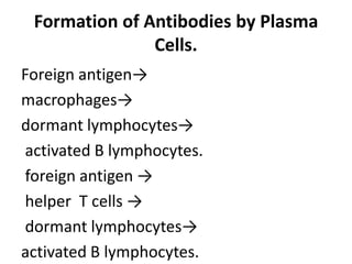 Formation of Antibodies by Plasma
Cells.
Foreign antigen→
macrophages→
dormant lymphocytes→
activated B lymphocytes.
foreign antigen →
helper T cells →
dormant lymphocytes→
activated B lymphocytes.
 