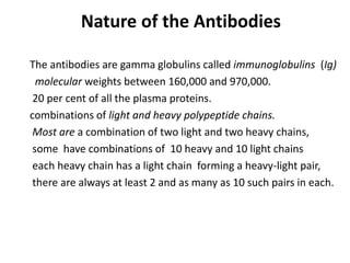 Nature of the Antibodies
The antibodies are gamma globulins called immunoglobulins (Ig)
molecular weights between 160,000 and 970,000.
20 per cent of all the plasma proteins.
combinations of light and heavy polypeptide chains.
Most are a combination of two light and two heavy chains,
some have combinations of 10 heavy and 10 light chains
each heavy chain has a light chain forming a heavy-light pair,
there are always at least 2 and as many as 10 such pairs in each.
 