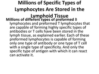 Millions of Specific Types of
Lymphocytes Are Stored in the
Lymphoid Tissue
Millions of different types of preformed B
lymphocytes and preformed T lymphocytes that
are capable of forming highly specific types of
antibodies or T cells have been stored in the
lymph tissue, as explained earlier. Each of these
preformed lymphocytes is capable of forming
only one type of antibody or one type of T cell
with a single type of specificity. And only the
specific type of antigen with which it can react
can activate it.
 