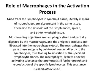Role of Macrophages in the Activation
Process
Aside from the lymphocytes in lymphoid tissue, literally millions
of macrophages are also present in the same tissue.
These line the sinusoids of the lymph nodes, spleen,
and other lymphoid tissue.
Most invading organisms are first phagocytized and partially
digested by the macrophages, and the antigenic products are
liberated into the macrophage cytosol. The macrophages then
pass these antigens by cell-to-cell contact directly to the
lymphocytes, thus leading to activation of the specified
lymphocytic clones. The macrophages, secrete a special
activating substance that promotes still further growth and
reproduction of the specific lymphocytes. This substance
is called interleukin-1.
 