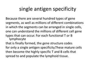 single antigen specificity
Because there are several hundred types of gene
segments, as well as millions of different combinations
in which the segments can be arranged in single cells,
one can understand the millions of different cell gene
types that can occur. For each functional T or B
lymphocyte
that is finally formed, the gene structure codes
for only a single antigen specificity.These mature cells
then become the highly specific T and B cells that
spread to and populate the lymphoid tissue.
 