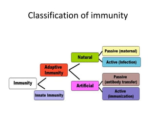Classification of immunity
 
