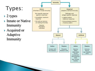  2 types
 Innate or Native
Immunity
 Acquired or
Adaptive
Immunity
 
