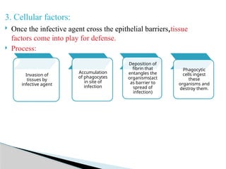 3. Cellular factors:
 Once the infective agent cross the epithelial barriers,tissue
factors come into play for defense.
 Process:
Invasion of
tissues by
infective agent
Accumulation
of phagocytes
in site of
infection
Deposition of
fibrin that
entangles the
organisms(act
as barrier to
spread of
infection)
Phagocytic
cells ingest
these
organisms and
destroy them.
 