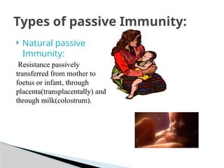  Natural passive
Immunity:
Resistance passively
transferred from mother to
foetus or infant, through
placenta(transplacentally) and
through milk(colostrum).
Types of passive Immunity:
 