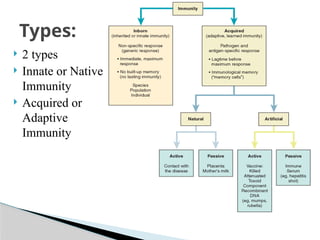  2 types
 Innate or Native
Immunity
 Acquired or
Adaptive
Immunity
Types:
 