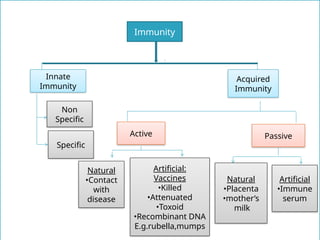 Innate
Immunity
Acquired
Immunity
Non
Specific
Specific
Active Passive
Natural
•Contact
with
disease
Artificial:
Vaccines
•Killed
•Attenuated
•Toxoid
•Recombinant DNA
E.g.rubella,mumps
Natural
•Placenta
•mother’s
milk
Artificial
•Immune
serum
Immunity
 