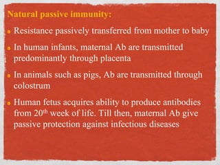 Natural passive immunity:
Resistance passively transferred from mother to baby
In human infants, maternal Ab are transmitted
predominantly through placenta
In animals such as pigs, Ab are transmitted through
colostrum
Human fetus acquires ability to produce antibodies
from 20th week of life. Till then, maternal Ab give
passive protection against infectious diseases
 