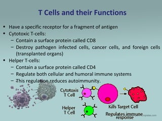 Antigen-Antibody Interactions
• Quality and quantity are important in resolution of
disease
• May contribute to pathology
...