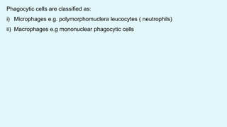 Phagocytic cells are classified as:
i) Microphages e.g. polymorphomuclera leucocytes ( neutrophils)
ii) Macrophages e.g mononuclear phagocytic cells
 