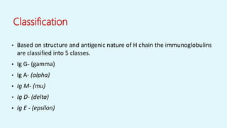 Classification
• Based on structure and antigenic nature of H chain the immunoglobulins
are classified into 5 classes.
• Ig G- (gamma)
• Ig A- (alpha)
• Ig M- (mu)
• Ig D- (delta)
• Ig E - (epsilon)
 