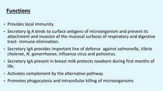 Functions
• Provides local immunity.
• Secretory Ig A binds to surface antigens of microorganism and prevent its
attachment and invasion of the mucosal surfaces of respiratory and digestive
tract- immune elimination.
• Secretory IgA provides important line of defense against salmonella, Vibrio
cholerae, N. gonorrhoeae, influenza virus and poliovirus.
• Secretory IgA present in breast milk protects newborn during first months of
life.
• Activates complement by the alternative pathway
• Promotes phagocytosis and intracellular killing of microorganisms
 