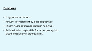 Functions
• It agglutinates bacteria
• Activates complement by classical pathway
• Causes opsonization and immune hemolysis
• Believed to be responsible for protection against
blood invasion by microorganisms
 