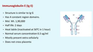 Immunoglobulin E (Ig E)
• Structure is similar to Ig G
• Has 4 constant region domains.
• Mol. Wt. 1,90,000
• Half life: 2 days
• Heat labile (inactivated at 560C in 1 hour)
• Normal serum concentration 0.3 ug/ml
• Mostly present extra cellularly
• Does not cross placenta
 
