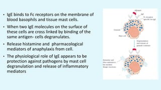 • IgE binds to Fc receptors on the membrane of
blood basophils and tissue mast cells.
• When two IgE molecules on the surface of
these cells are cross linked by binding of the
same antigen- cells degranulates.
• Release histamine and pharmacological
mediators of anaphylaxis from cell.
• The physiological role of IgE appears to be
protection against pathogens by mast cell
degranulation and release of inflammatory
mediators
 