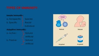 immunity types- by spoorthi s sadar .pptx