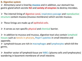 immunity chapter Immunity System and types of immune systems | PDF