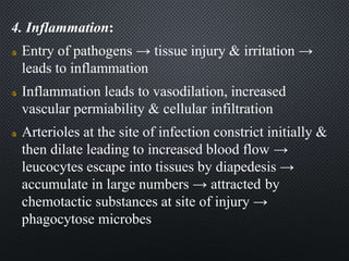 4. Inflammation:
Entry of pathogens → tissue injury & irritation →
leads to inflammation
Inflammation leads to vasodilation, increased
vascular permiability & cellular infiltration
Arterioles at the site of infection constrict initially &
then dilate leading to increased blood flow →
leucocytes escape into tissues by diapedesis →
accumulate in large numbers → attracted by
chemotactic substances at site of injury →
phagocytose microbes
 