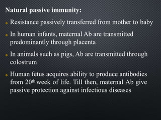 Natural passive immunity:
Resistance passively transferred from mother to baby
In human infants, maternal Ab are transmitted
predominantly through placenta
In animals such as pigs, Ab are transmitted through
colostrum
Human fetus acquires ability to produce antibodies
from 20th week of life. Till then, maternal Ab give
passive protection against infectious diseases
 