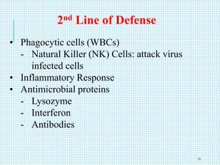 • Phagocytic cells (WBCs)
- Natural Killer (NK) Cells: attack virus
infected cells
• Inflammatory Response
• Antimicrobial proteins
- Lysozyme
- Interferon
- Antibodies
2nd Line of Defense
13
 