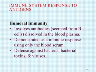 IMMUNE SYSTEM RESPONSE TO
ANTIGENS
Humoral Immunity
• Involves antibodies (secreted from B
cells) dissolved in the blood plasma.
• Demonstrated as a immune response
using only the blood serum.
• Defense against bacteria, bacterial
toxins, & viruses.
23
 