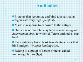 Antibodies
Proteins that recognize and bind to a particular
antigen with very high specificity.
Made in response to exposure to the antigen.
One virus or microbe may have several antigenic
determinant sites, to which different antibodies may
bind.
Each antibody has at least two identical sites that
bind antigen: Antigen binding sites.
Belong to a group of serum proteins called
immunoglobulins (Igs).
31
 