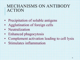 MECHANISMS ON ANTIBODY
ACTION
• Precipitation of soluble antigens
• Agglutination of foreign cells
• Neutralization
• Enhanced phagocytosis
• Complement activation leading to cell lysis
• Stimulates inflammation
34
 
