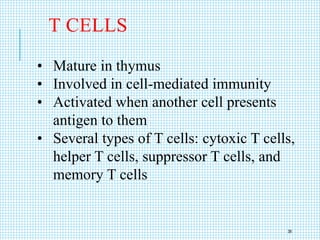 T CELLS
• Mature in thymus
• Involved in cell-mediated immunity
• Activated when another cell presents
antigen to them
• Several types of T cells: cytoxic T cells,
helper T cells, suppressor T cells, and
memory T cells
38
 