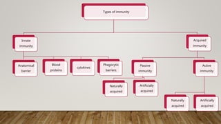 Immunity and Immunological Products HImanshu Slide 6