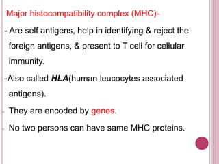 Major histocompatibility complex (MHC)-
- Are self antigens, help in identifying & reject the
foreign antigens, & present to T cell for cellular
immunity.
-Also called HLA(human leucocytes associated
antigens).
- They are encoded by genes.
- No two persons can have same MHC proteins.
 