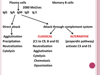 Plasma cells Memory B cells
2000 Mol/sec
IgG IgA IgM IgD Ig E
Direct attack Attack through complement system
Agglutination CLASSICAL ALTERNATIVE
Precipitation (C1 to C9, B and D) (properdin pathway)
Neutralization Neutralization activate C3 and C5
Cytolysis Agglutination
Cytolysis
Chemotaxis
Opsonization
 