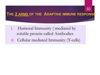 THE 2 ARMS OF THE ADAPTIVE IMMUNE RESPONSE
I. Humoral Immunity ( mediated by
soluble protein called Antibodies
II. Cellular mediated Immunity (T-cells)
30
 