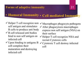 Forms of adaptive immunity
• Humoral Immunity
 Helper T cell recognize non
self antigen and stimulates
B cells to produce anti body
 B cell released anti bodies
bind to non self antigen on
infected cell
 Upon binding to antigens B
cell complete their
maturation and destroying
infected cell
• Cell mediated Immunity
 Macrophages phagocyte pathogens
 After phagocytosis macrophages
express non self antigen (NSA) on
their surface
 Helper T cell recognize NSA and
recruit Cytotoxic cells
 Cytotoxic T cell destroy infected
cell
31
 