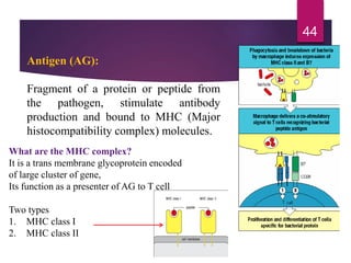 Antigen (AG):
Fragment of a protein or peptide from
the pathogen, stimulate antibody
production and bound to MHC (Major
histocompatibility complex) molecules.
What are the MHC complex?
It is a trans membrane glycoprotein encoded
of large cluster of gene,
Its function as a presenter of AG to T cell
Two types
1. MHC class I
2. MHC class II
44
 
