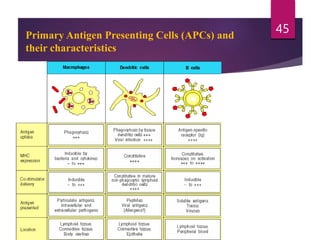 Primary Antigen Presenting Cells (APCs) and
their characteristics
45
 