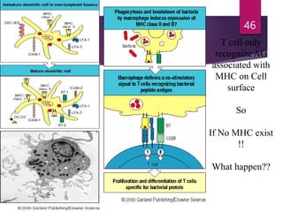 T cell only
recognize AG
associated with
MHC on Cell
surface
So
If No MHC exist
!!
What happen??
46
 