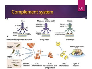 Complement system
68
 