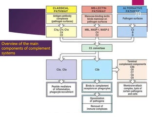 Overview of the main
components of complement
systems
70
 