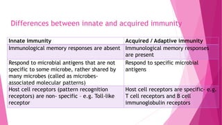Differences between innate and acquired immunity
Innate immunity Acquired / Adaptive immunity
Immunological memory responses are absent Immunological memory responses
are present
Respond to microbial antigens that are not
specific to some microbe, rather shared by
many microbes (called as microbes-
associated molecular patterns)
Respond to specific microbial
antigens
Host cell receptors (pattern recognition
receptors) are non- specific – e.g. Toll-like
receptor
Host cell receptors are specific- e.g.
T cell receptors and B cell
immunoglobulin receptors
 